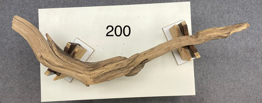 Branch Light 200 - Custom Order - Reserved