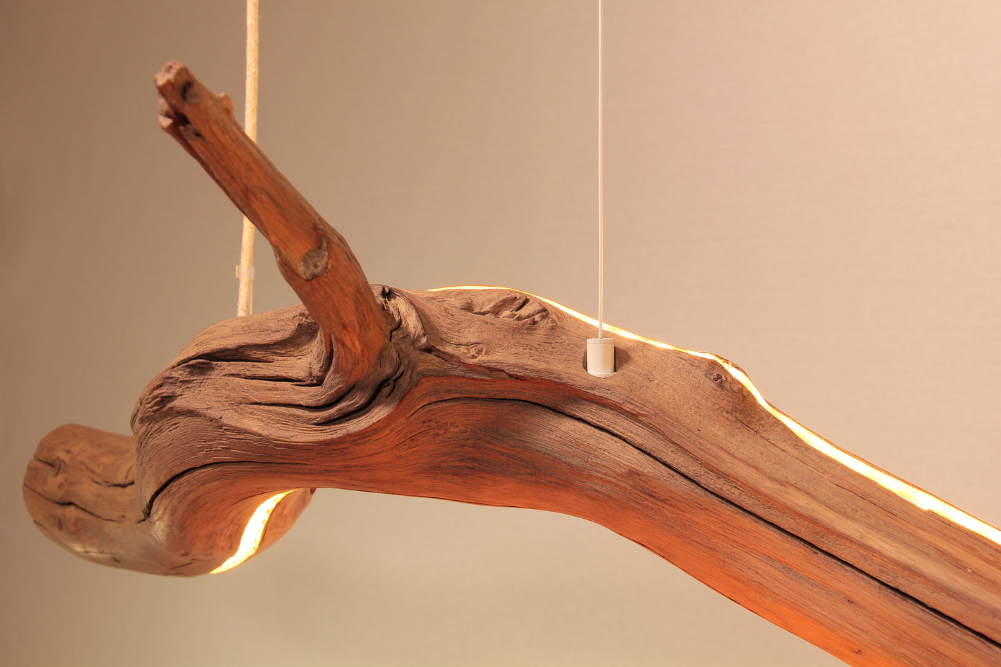 Dining table lamp / LED strip / 181 cm oak branch