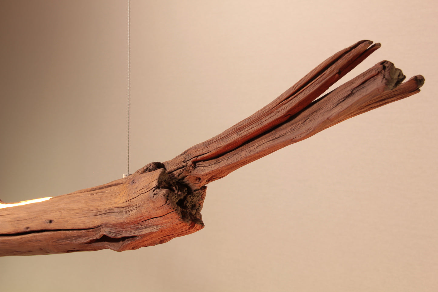 Dining table lamp / LED strip / 181 cm oak branch