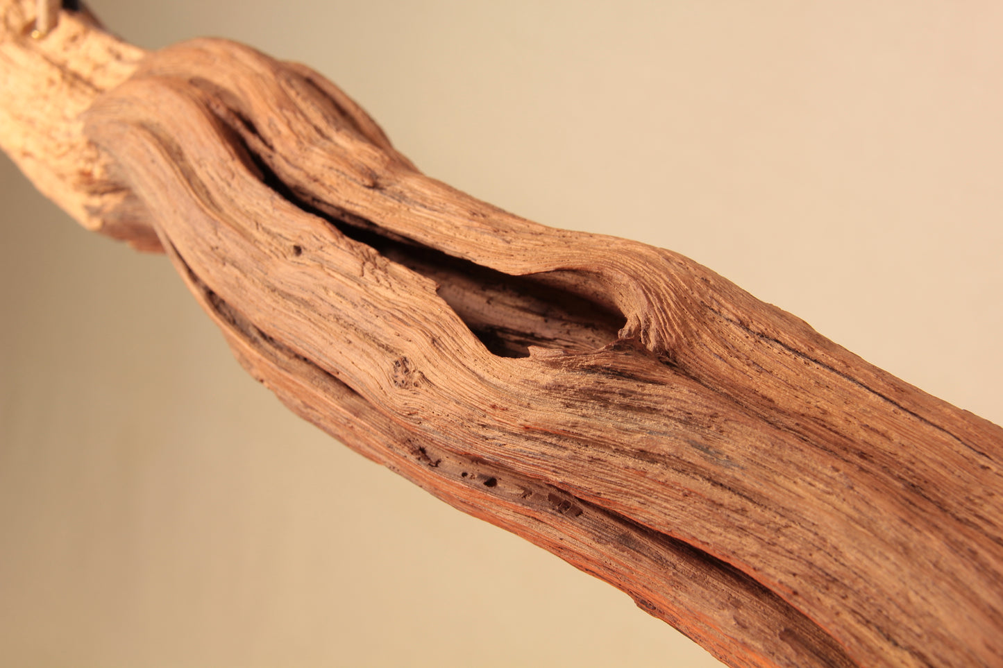 Dining table lamp - handmade unique piece - 160cm oak branch