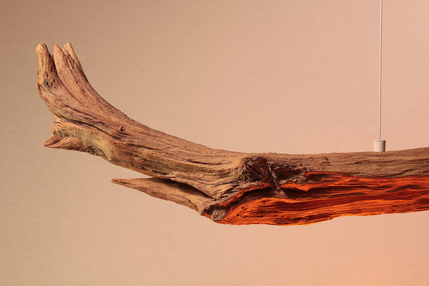 Dining table lamp / 190 cm oak branch / "The ascending branch"