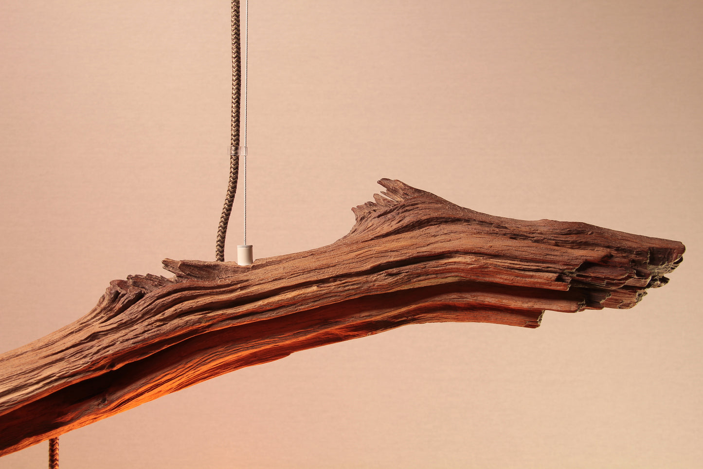 Dining table lamp / 190 cm oak branch / "The ascending branch"
