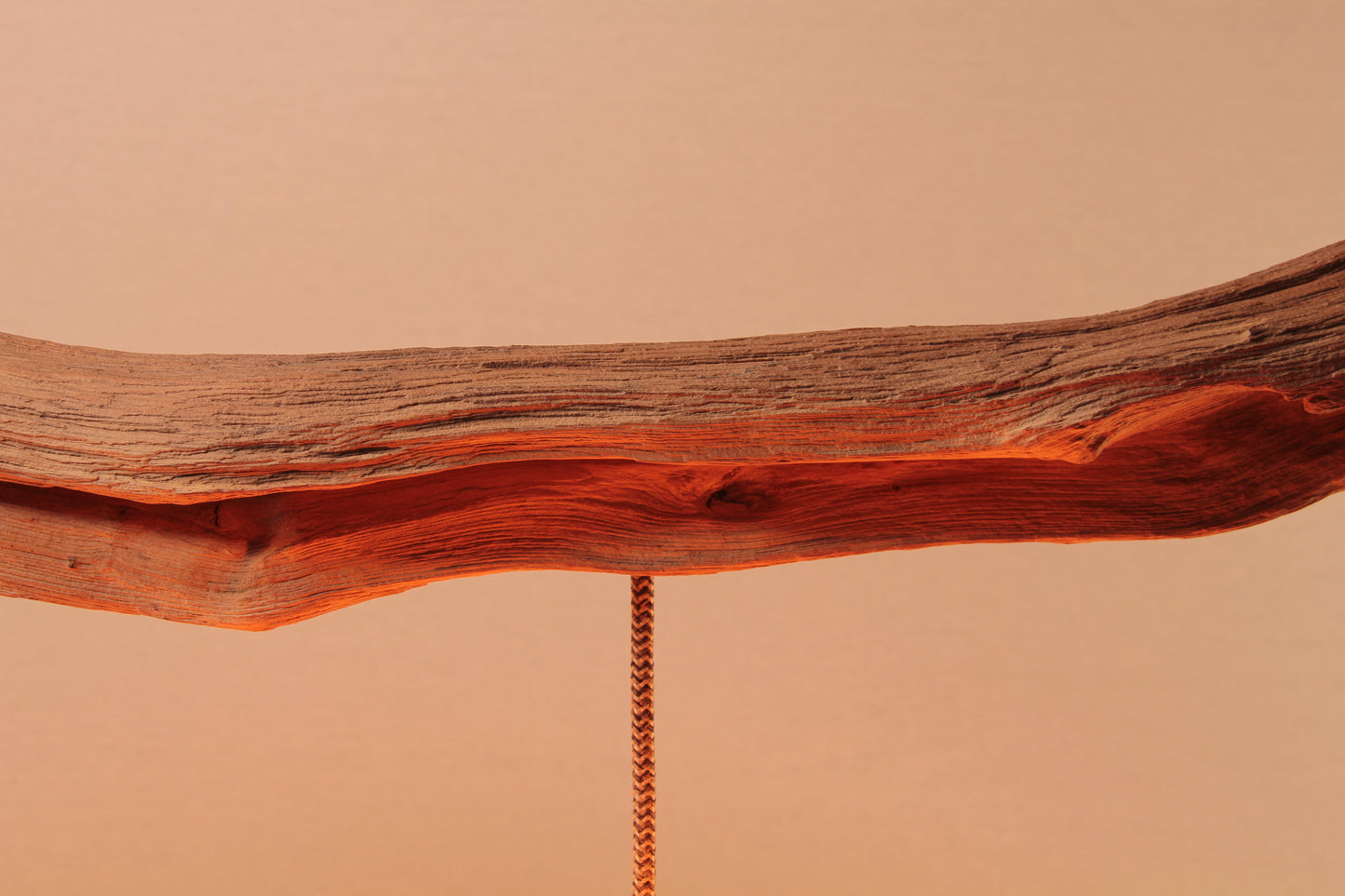 Dining table lamp / 190 cm oak branch / "The ascending branch"