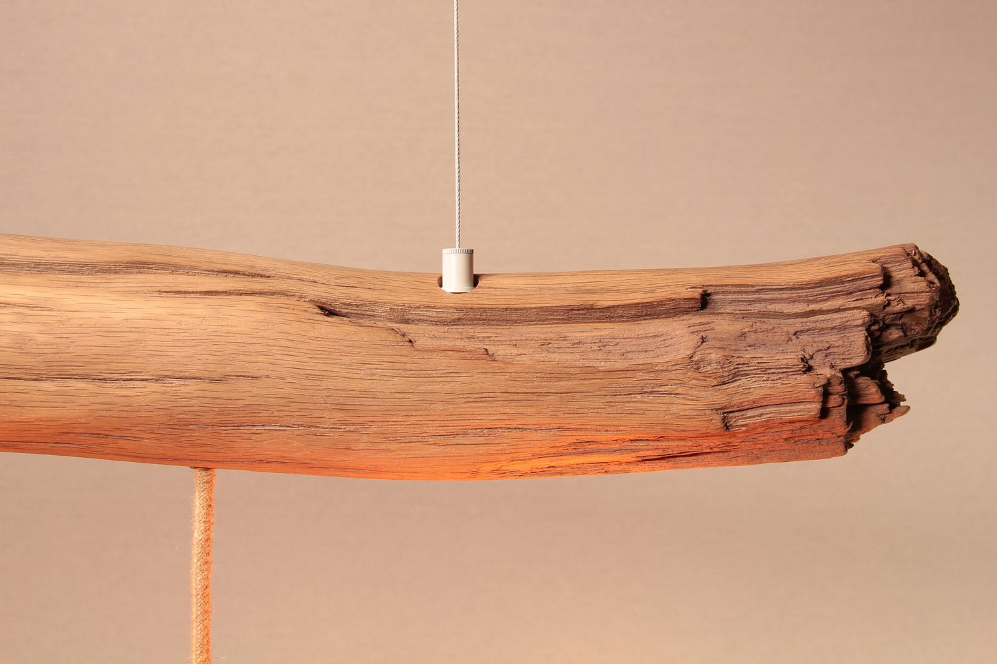 Dining table lamp / 98 cm oak branch / "The Märkische Minitaurus"