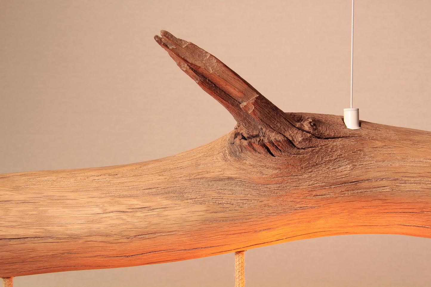 Dining table lamp / 98 cm oak branch / "The Märkische Minitaurus"