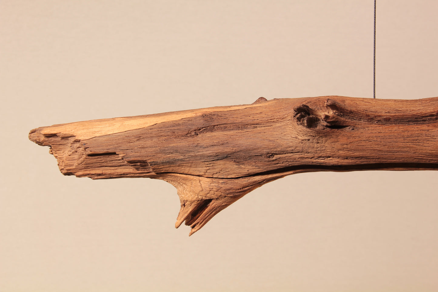 Lampada da tavolo da pranzo - pezzo unico fatto a mano - ramo di quercia di 164 cm