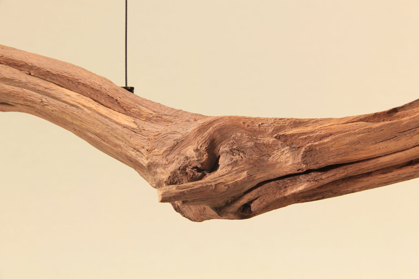 Lampada da tavolo da pranzo - pezzo unico fatto a mano - ramo di quercia da 163cm