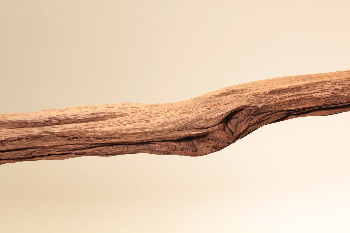 Esstischleuchte - handgefertigtes Unikat - 234cm Eichenast