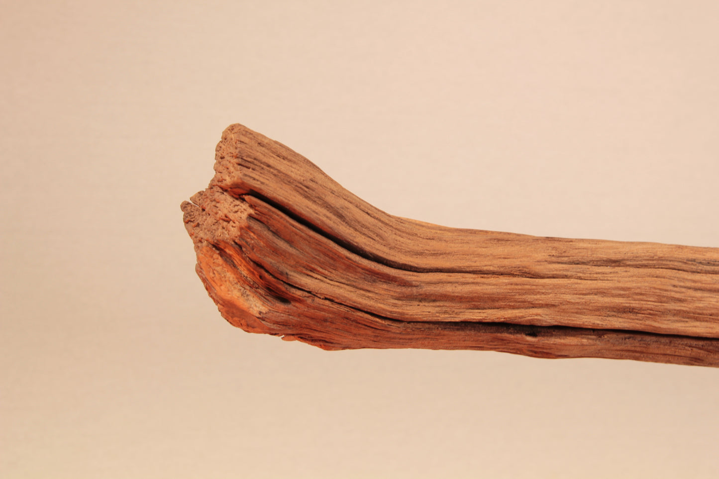 Lampada da tavolo da pranzo - pezzo unico fatto a mano - 155cm ramo di quercia