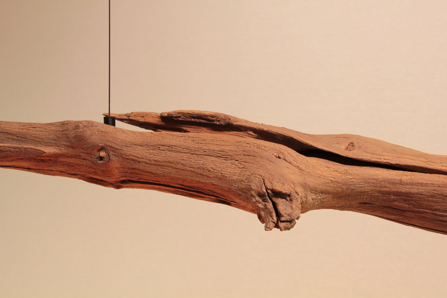 Lampada da tavolo / striscia LED / ramo di quercia da 151 cm