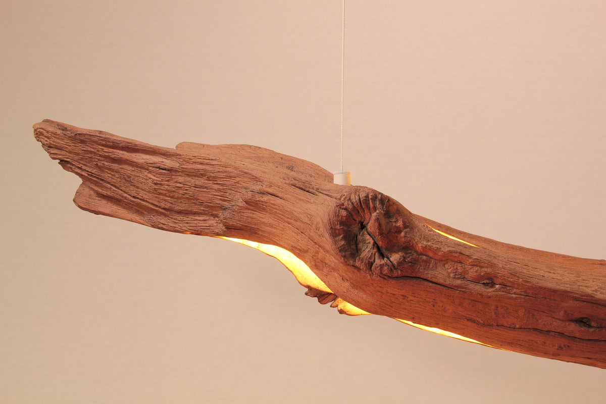 Dining table lamp / LED strip / 147 cm oak branch