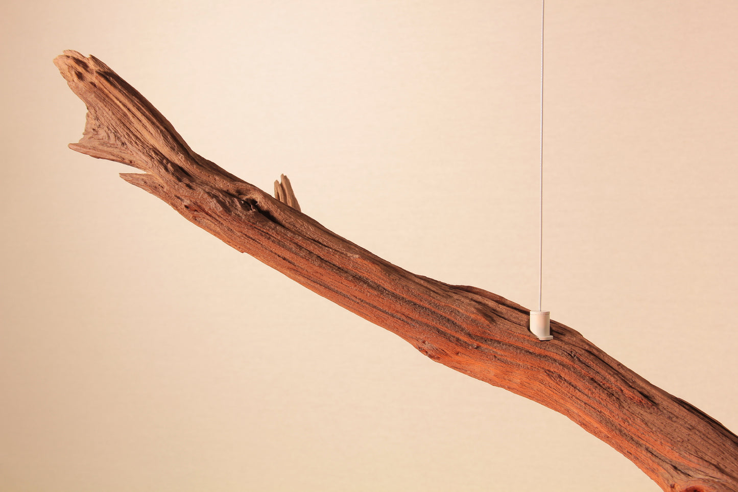 Lampada da tavolo / striscia LED / ramo di quercia da 177 cm
