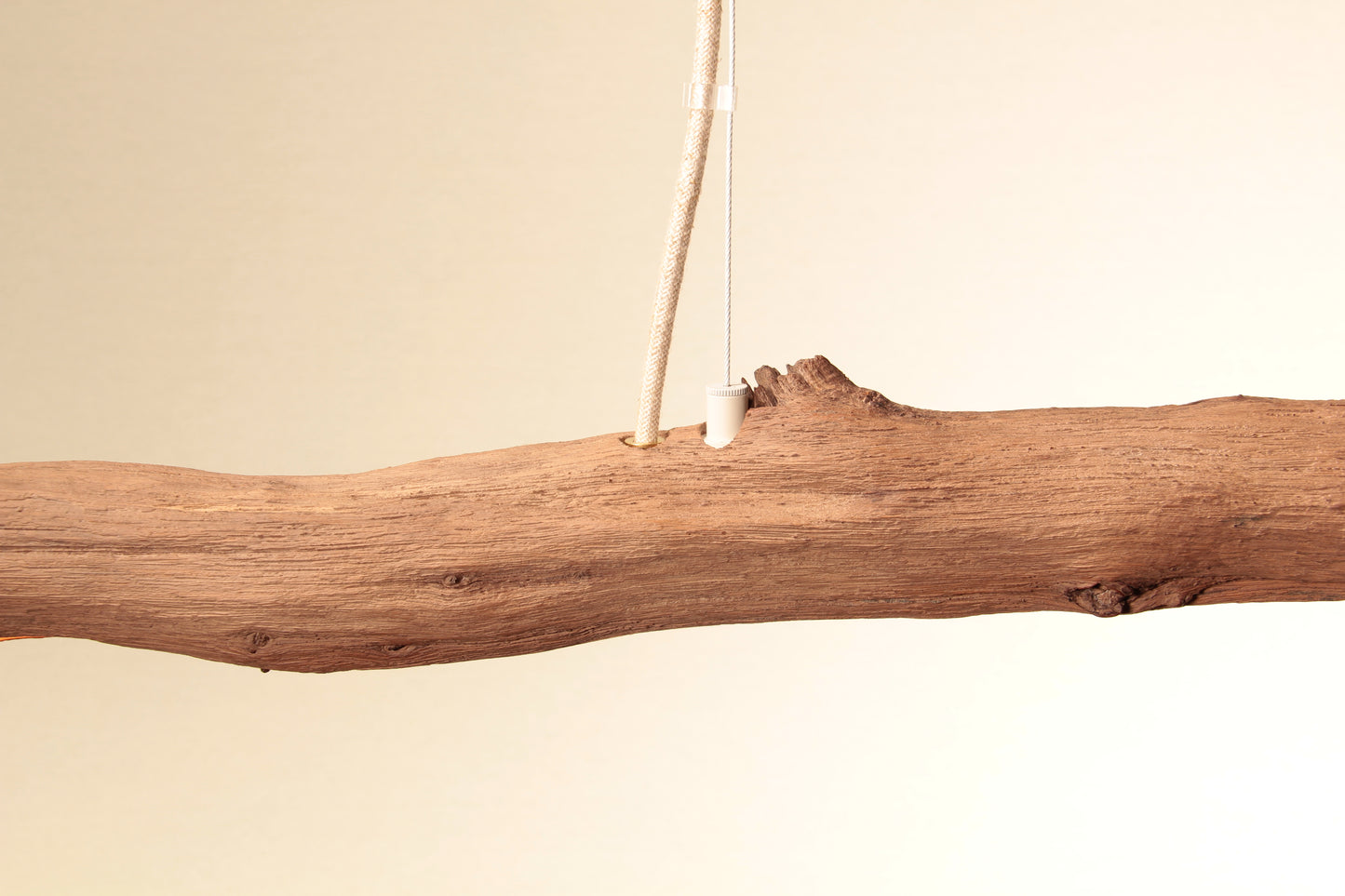 Dining table lamp - handmade unique piece - 159cm oak branch