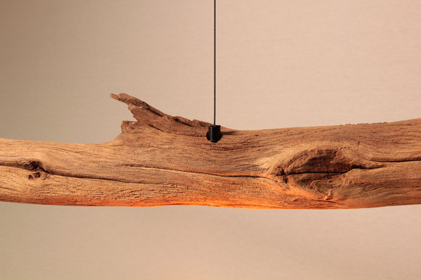 Lampe de table / bande LED / 149 cm branche de chêne