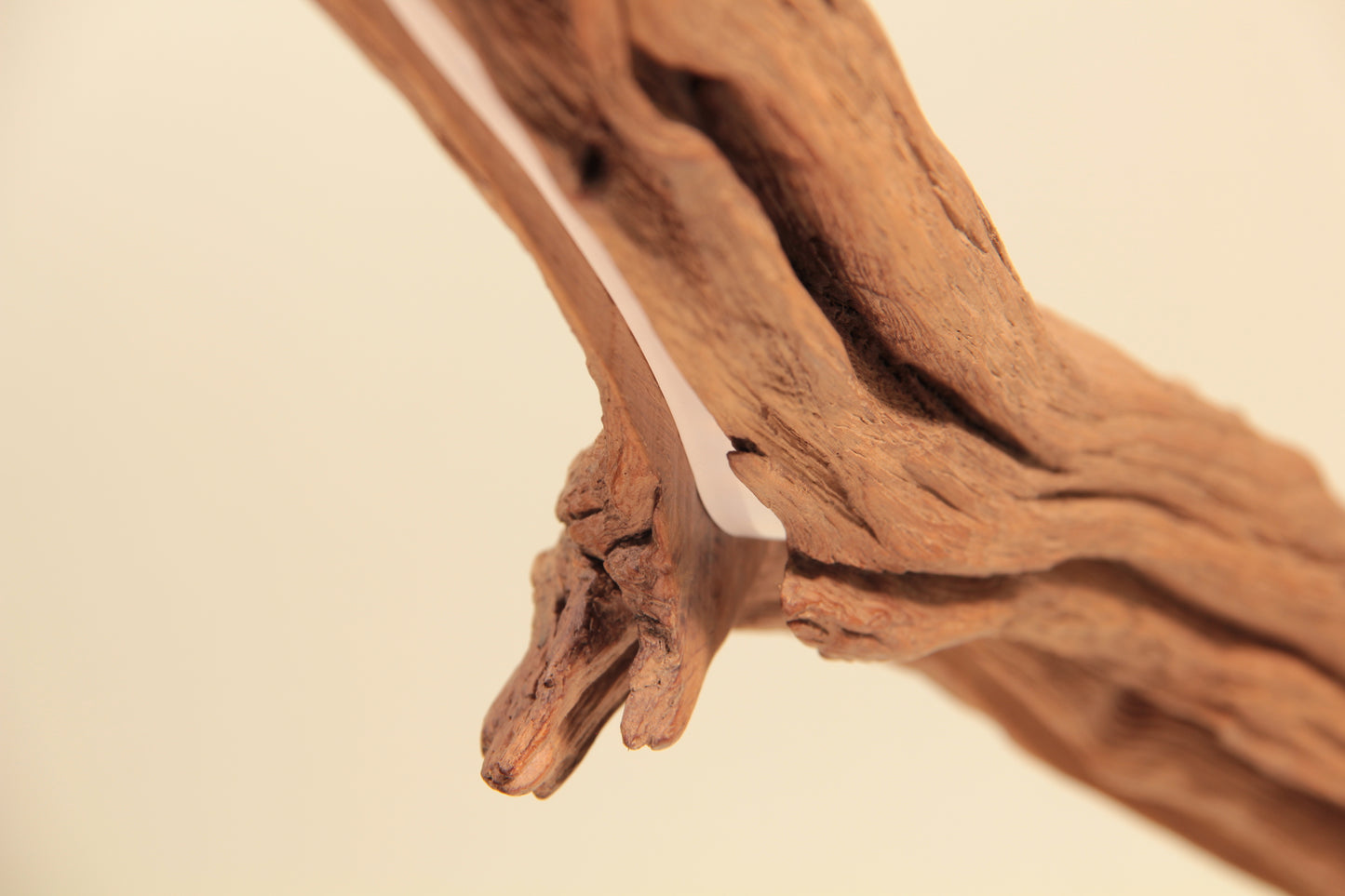 Lampe de table à manger - pièce unique fabriquée à la main - branche de chêne de 170 cm