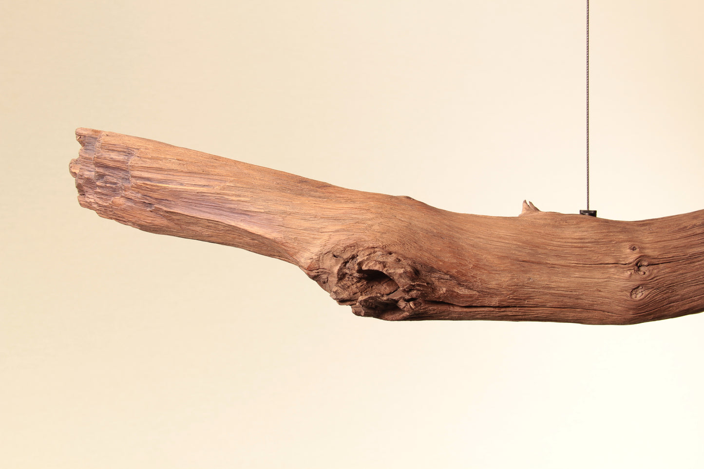 Dining table lamp - handmade unique piece - 149cm oak branch