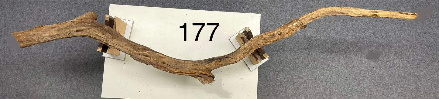 Astleuchte 177 - nach Kundenwunsch - reserviert