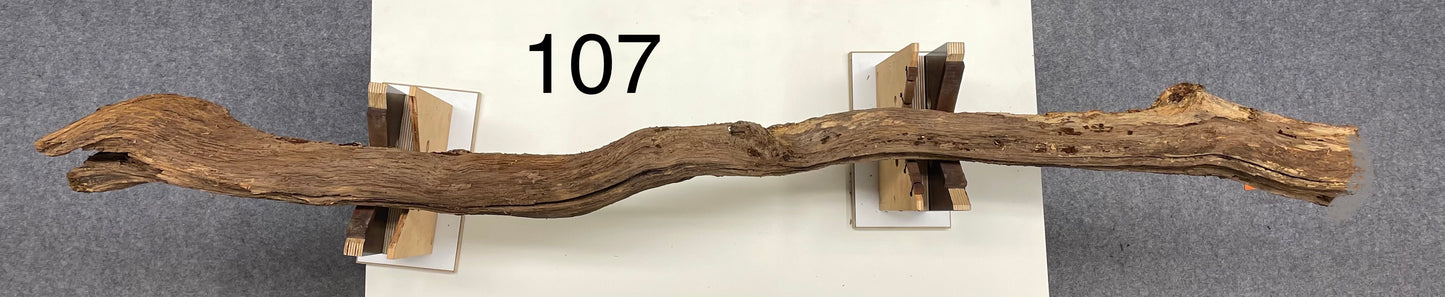 Astleuchte 107 - nach Kundenwunsch - reserviert
