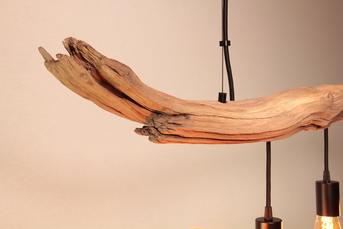 Handcrafted oak branch light fixture "Sonne und Wind II," featuring a natural oak branch with black cable and sockets.