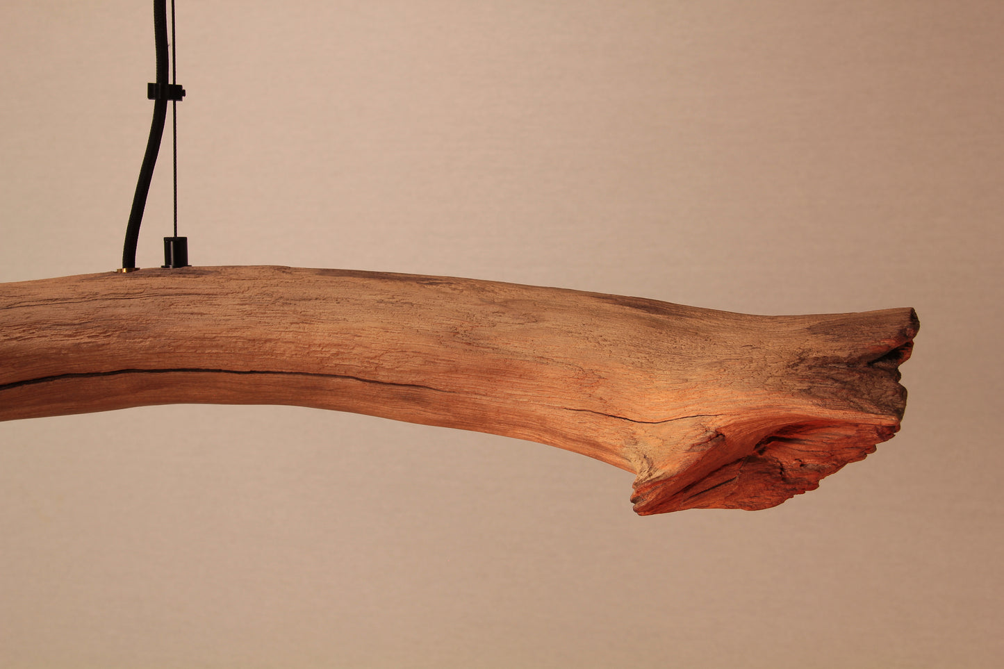 Dining table lamp / LED strip / 174 cm oak branch