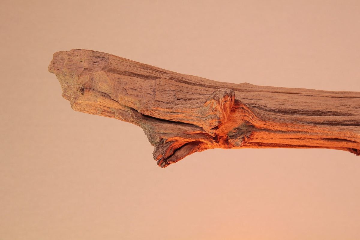 Hängelampe / 186cm langer Eichenast / Einzelstück / Holz / Ast / Pendelleuchte / Küchentisch / Deckenlampe / Esstischlampe / modern